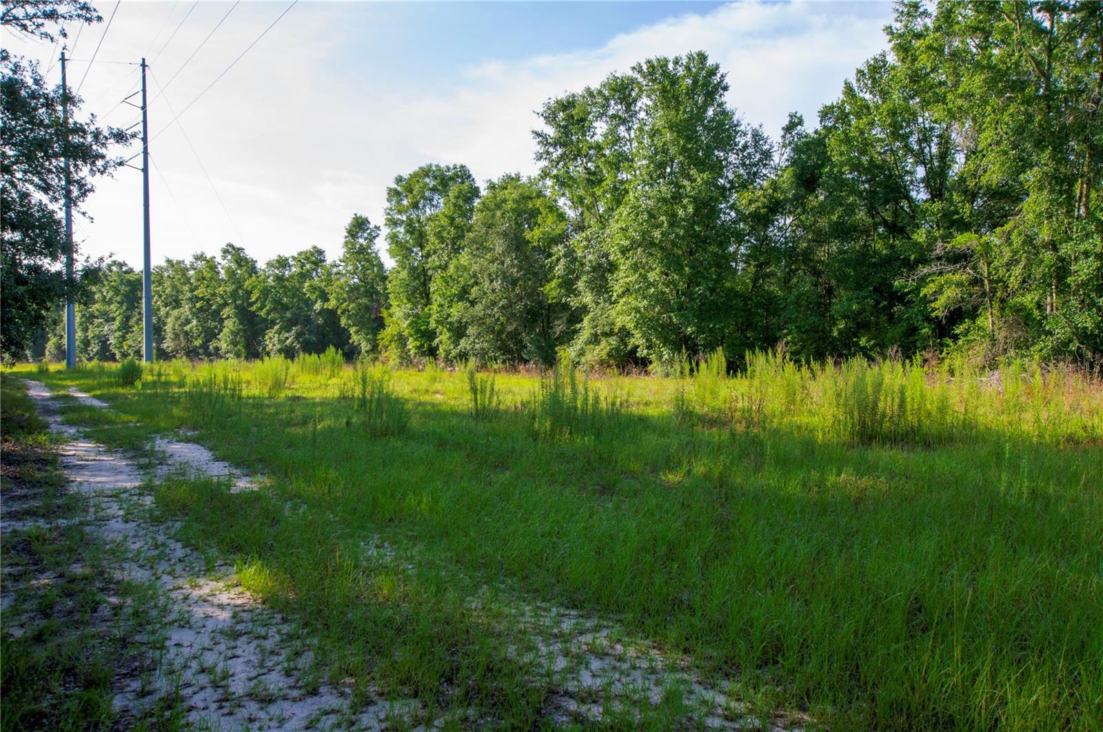 18233 185TH RD, LIVE OAK, FL, 32060