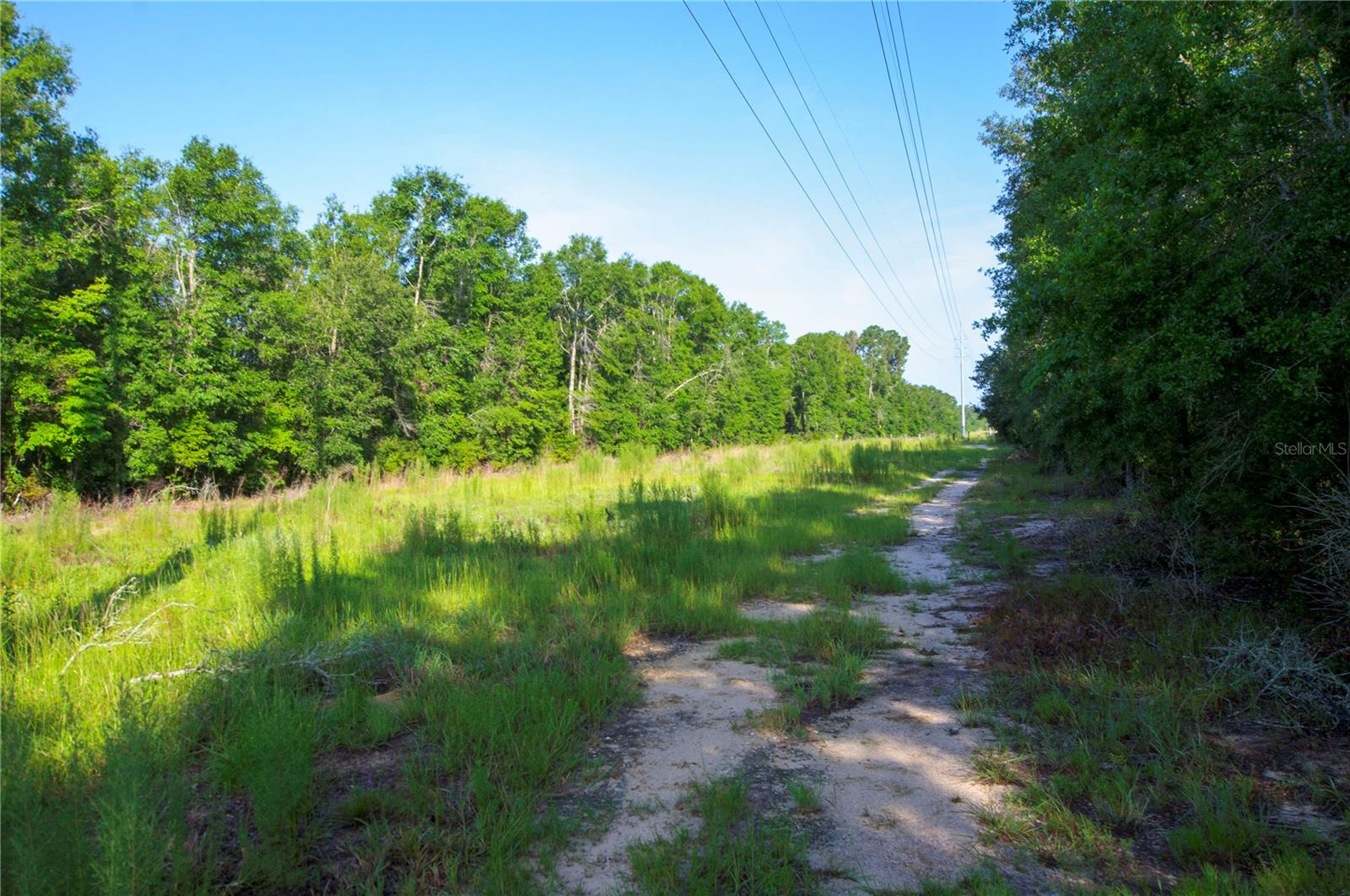 18233 185TH RD, LIVE OAK, FL, 32060