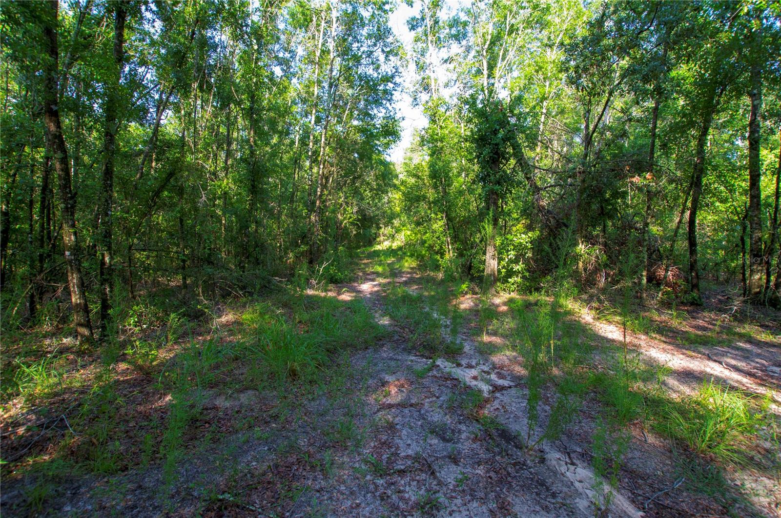 18233 185TH RD, LIVE OAK, FL, 32060