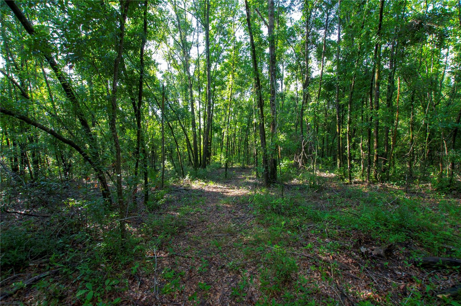 18233 185TH RD, LIVE OAK, FL, 32060