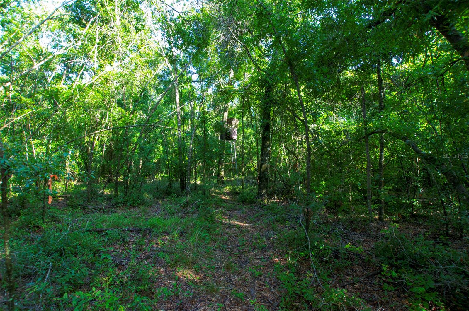 18233 185TH RD, LIVE OAK, FL, 32060