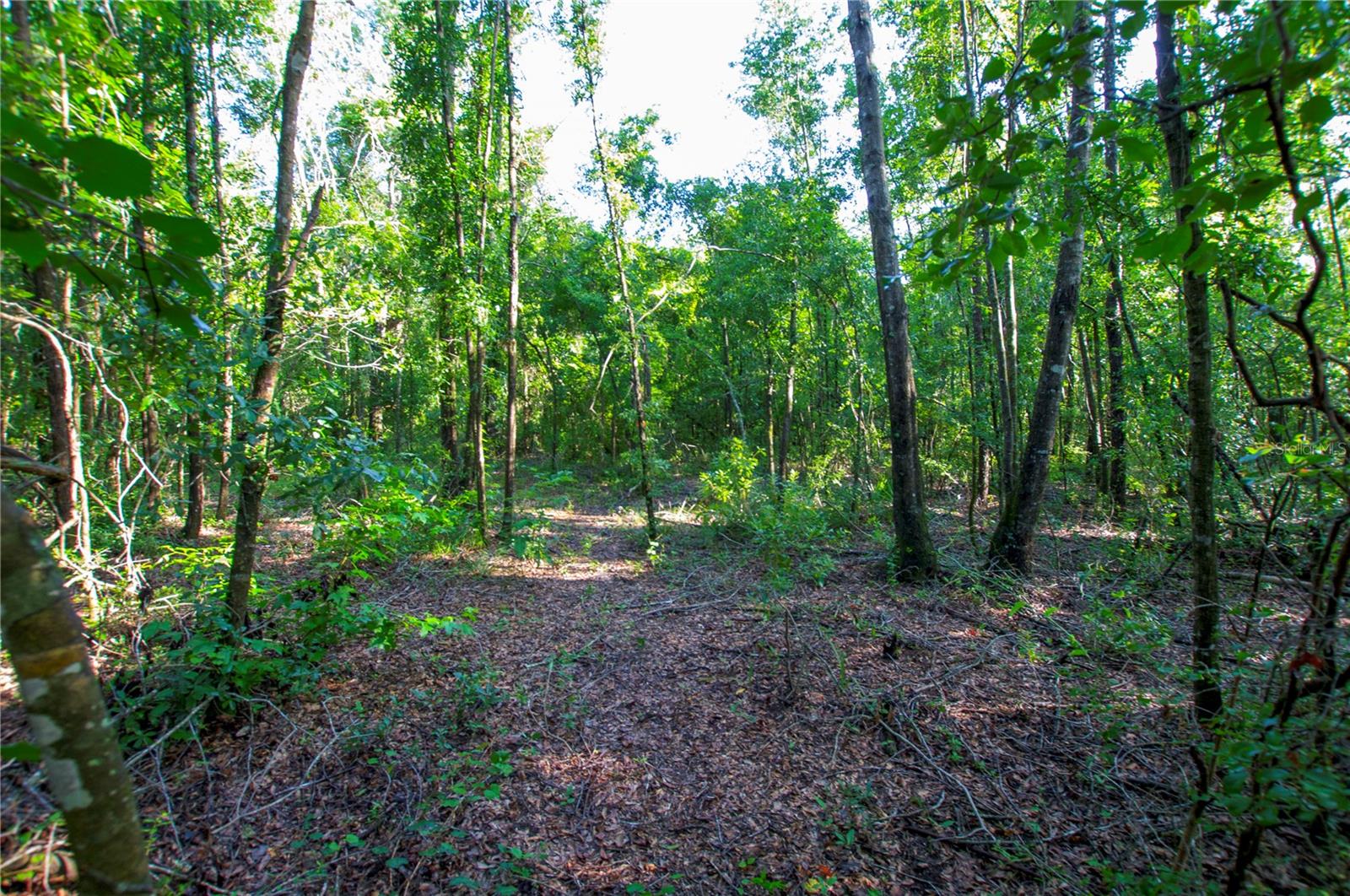 18233 185TH RD, LIVE OAK, FL, 32060