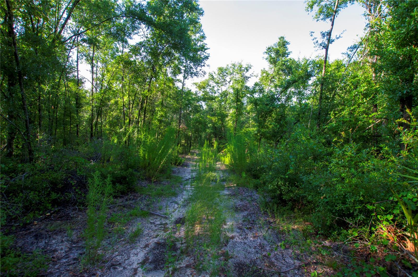 18233 185TH RD, LIVE OAK, FL, 32060