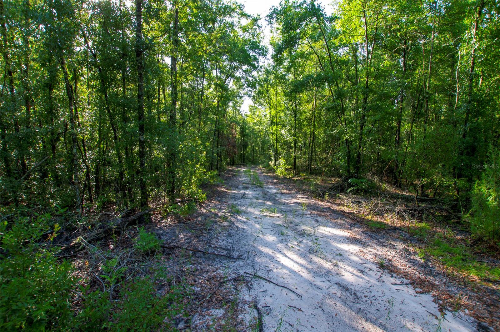 18233 185TH RD, LIVE OAK, FL, 32060
