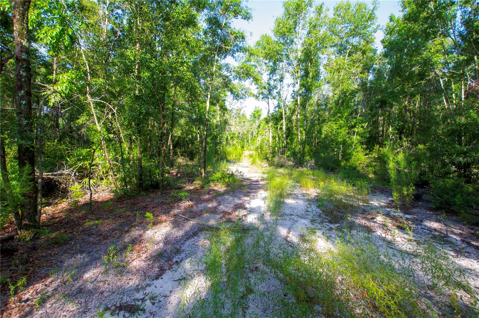 18233 185TH RD, LIVE OAK, FL, 32060