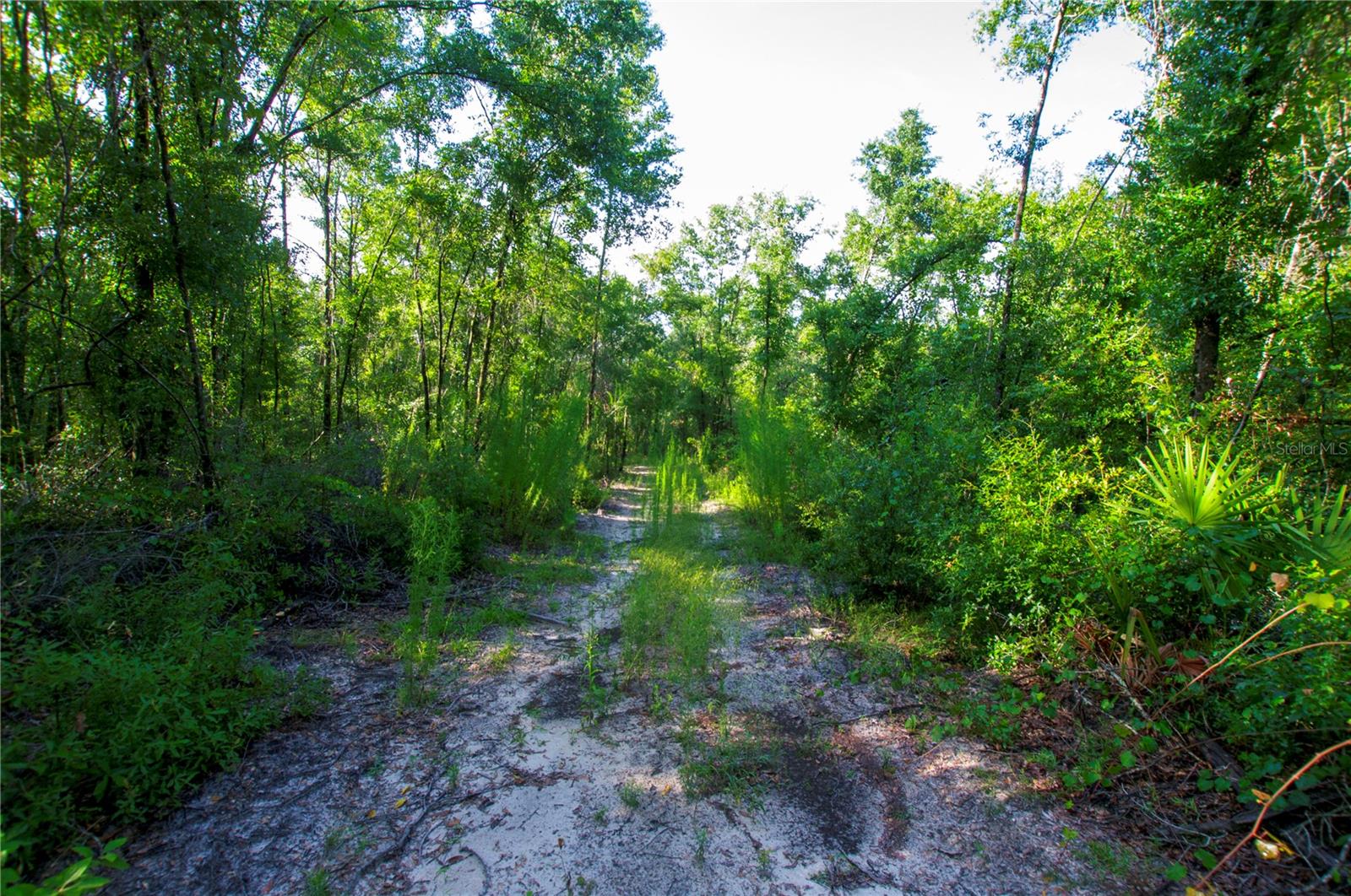 18233 185TH RD, LIVE OAK, FL, 32060
