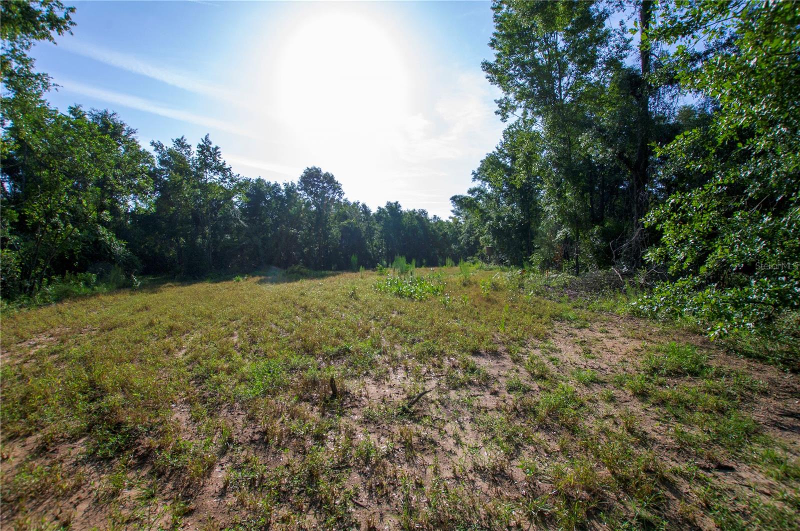 18233 185TH RD, LIVE OAK, FL, 32060
