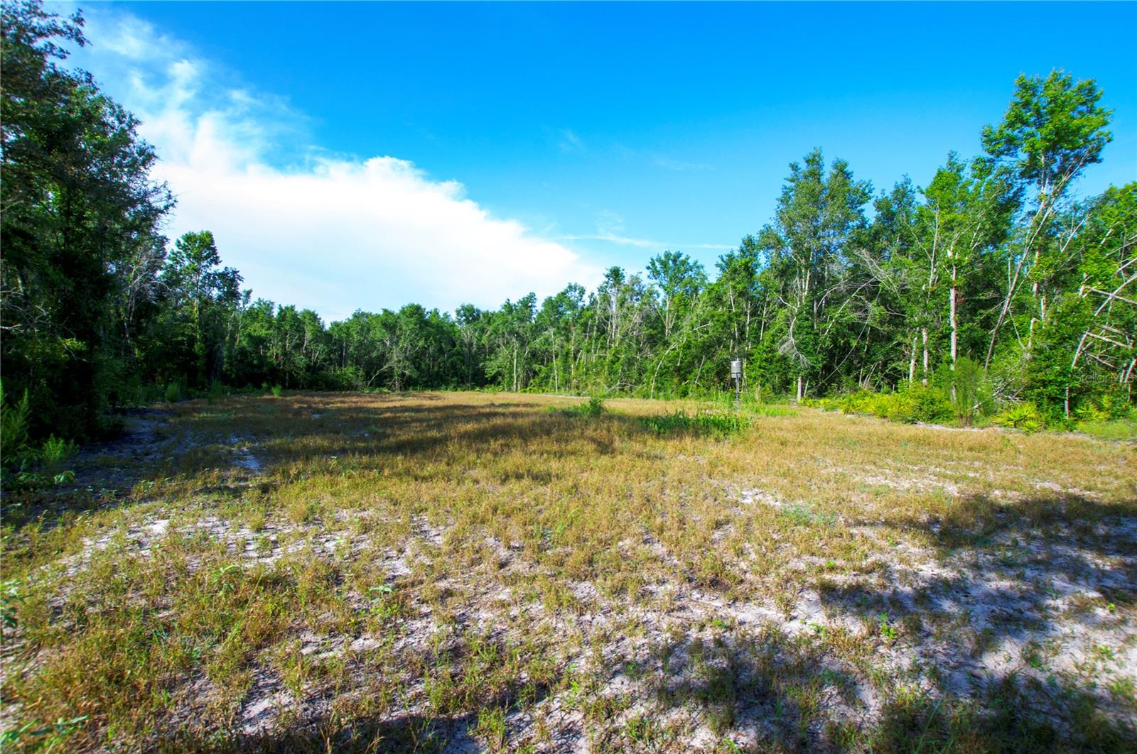 18233 185TH RD, LIVE OAK, FL, 32060