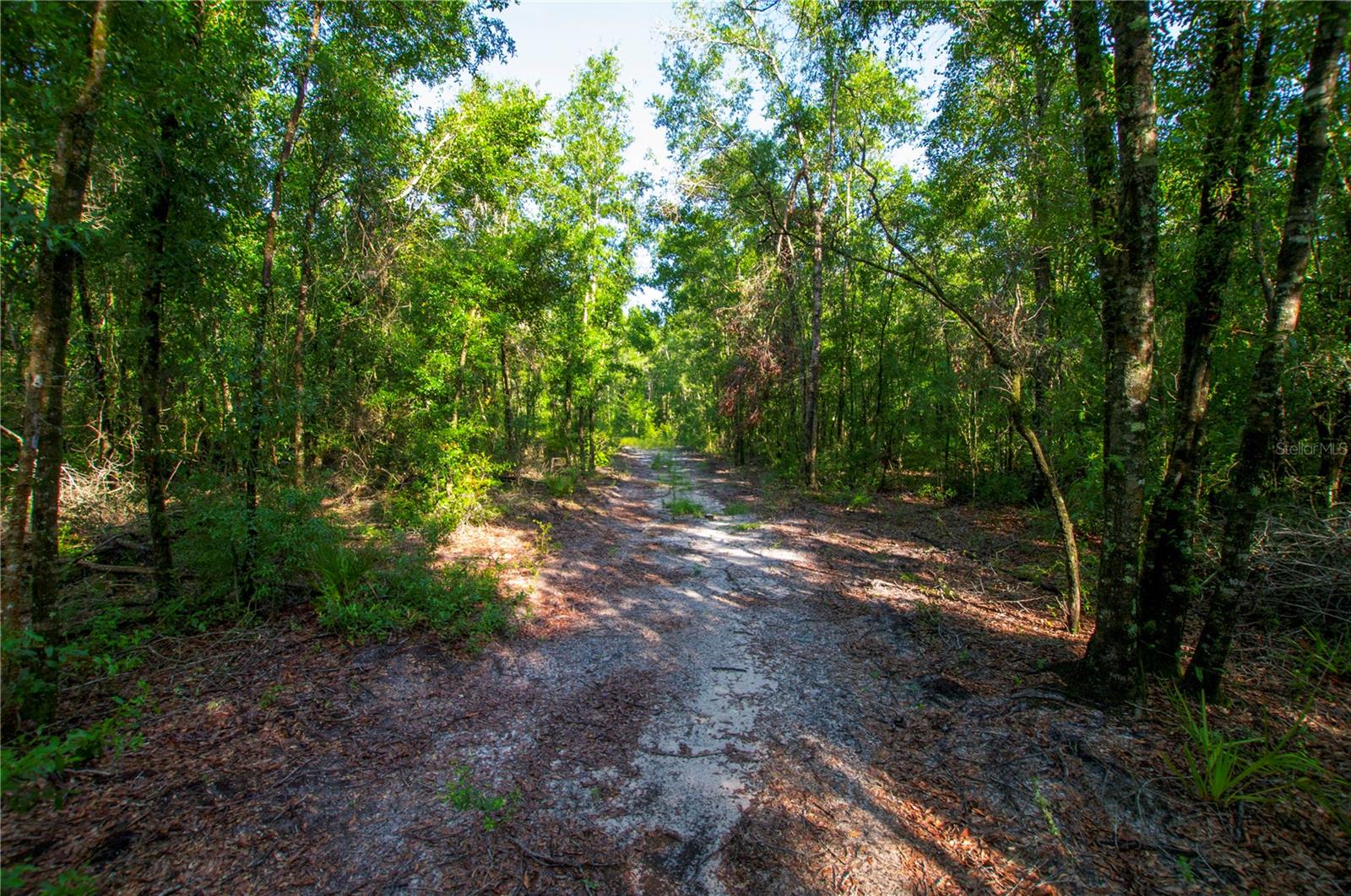18233 185TH RD, LIVE OAK, FL, 32060