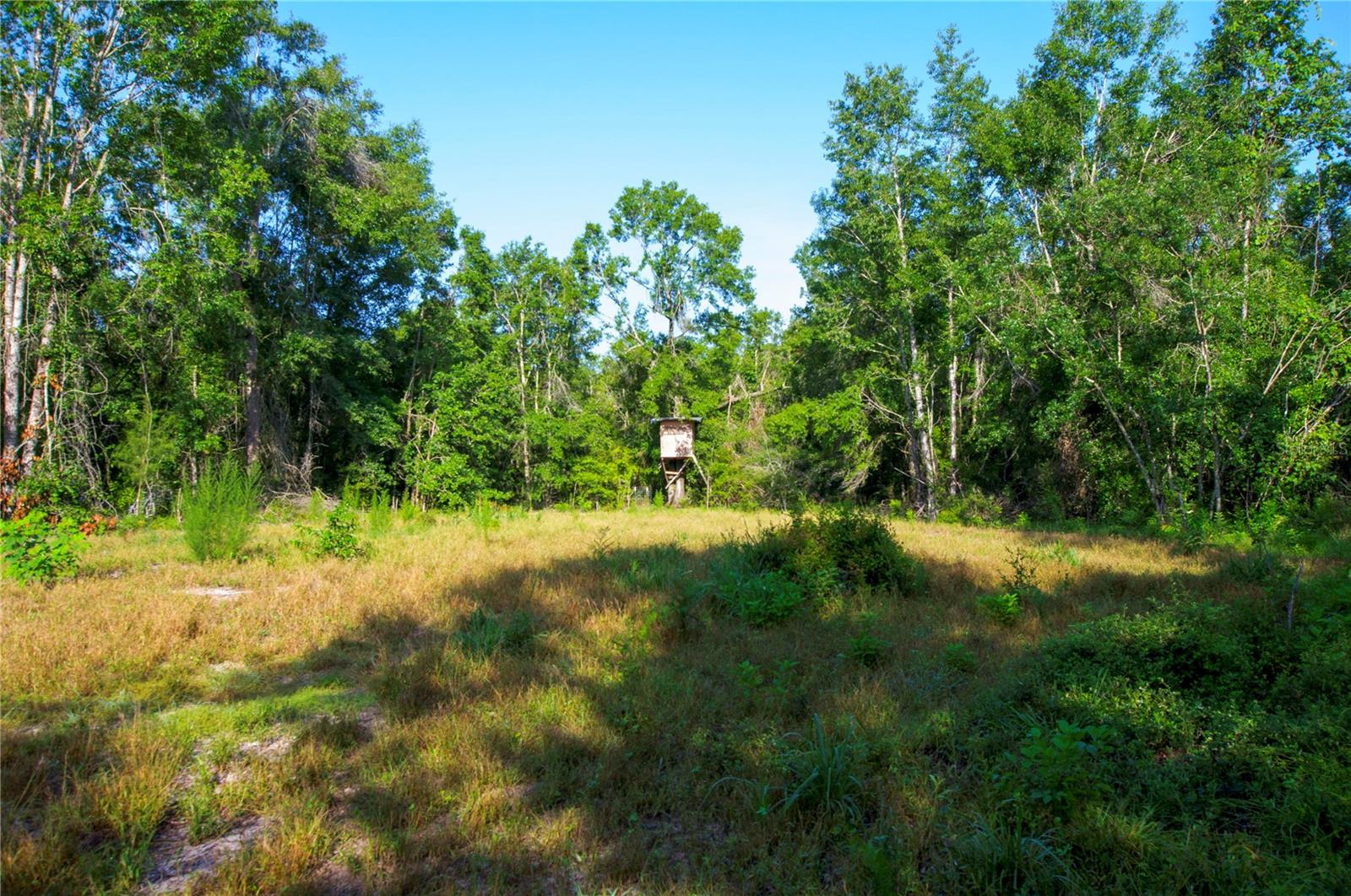 18233 185TH RD, LIVE OAK, FL, 32060