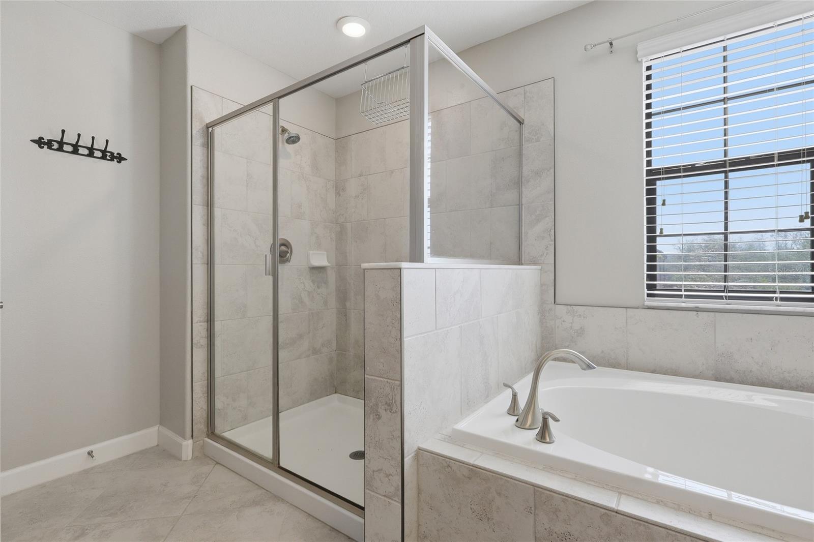 13917 ROSEATE TERN LN, RIVERVIEW, FL, 33579