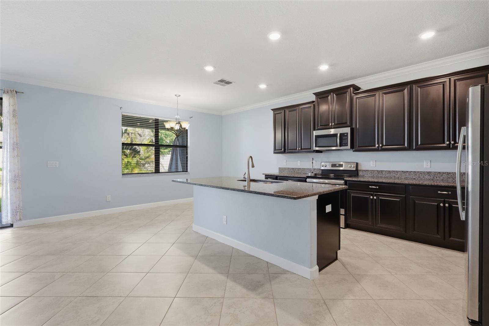13917 ROSEATE TERN LN, RIVERVIEW, FL, 33579
