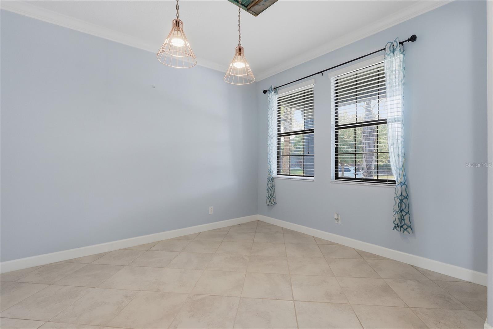 13917 ROSEATE TERN LN, RIVERVIEW, FL, 33579