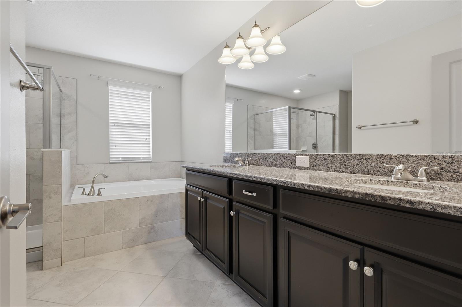 13917 ROSEATE TERN LN, RIVERVIEW, FL, 33579