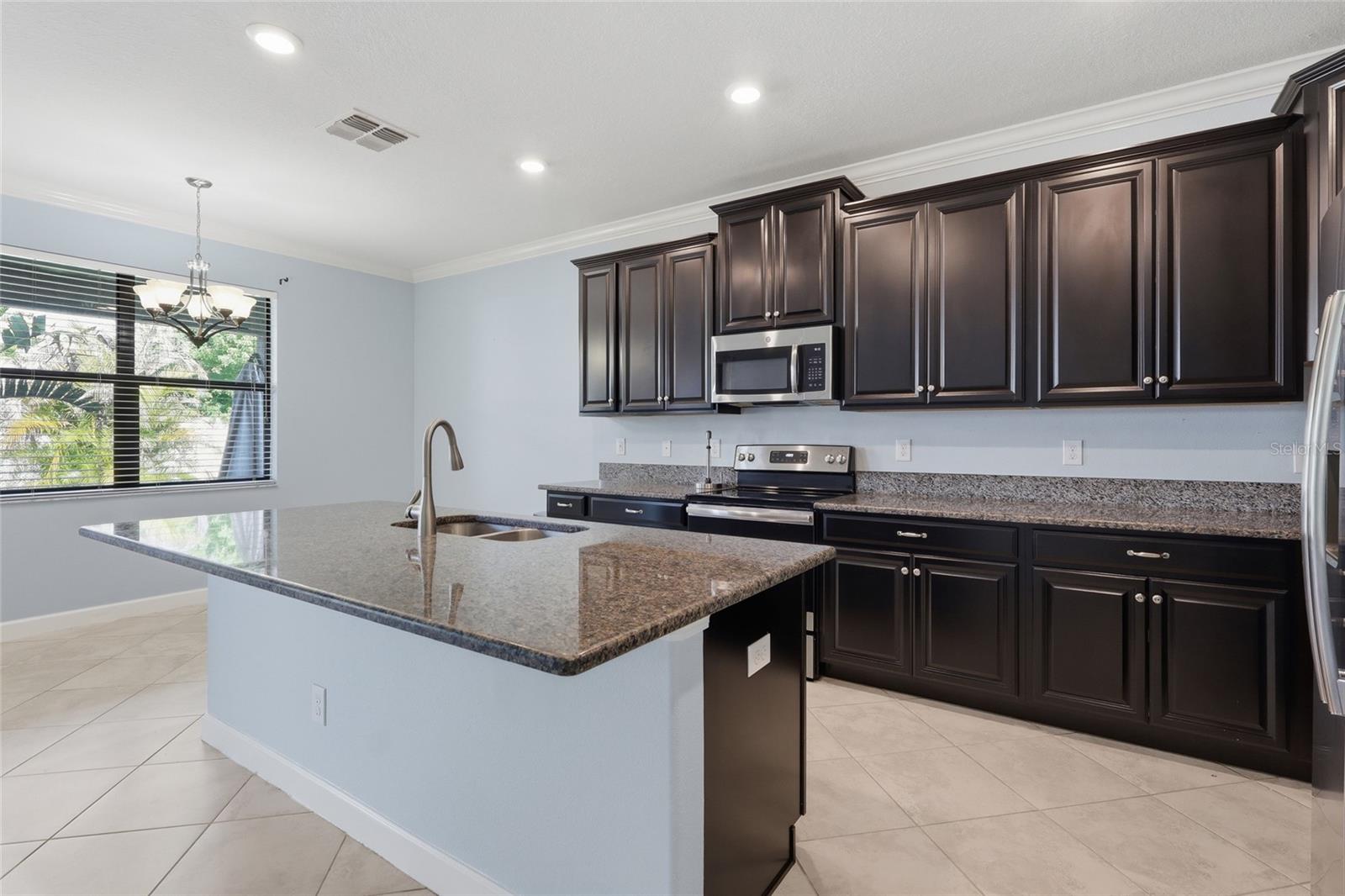 13917 ROSEATE TERN LN, RIVERVIEW, FL, 33579