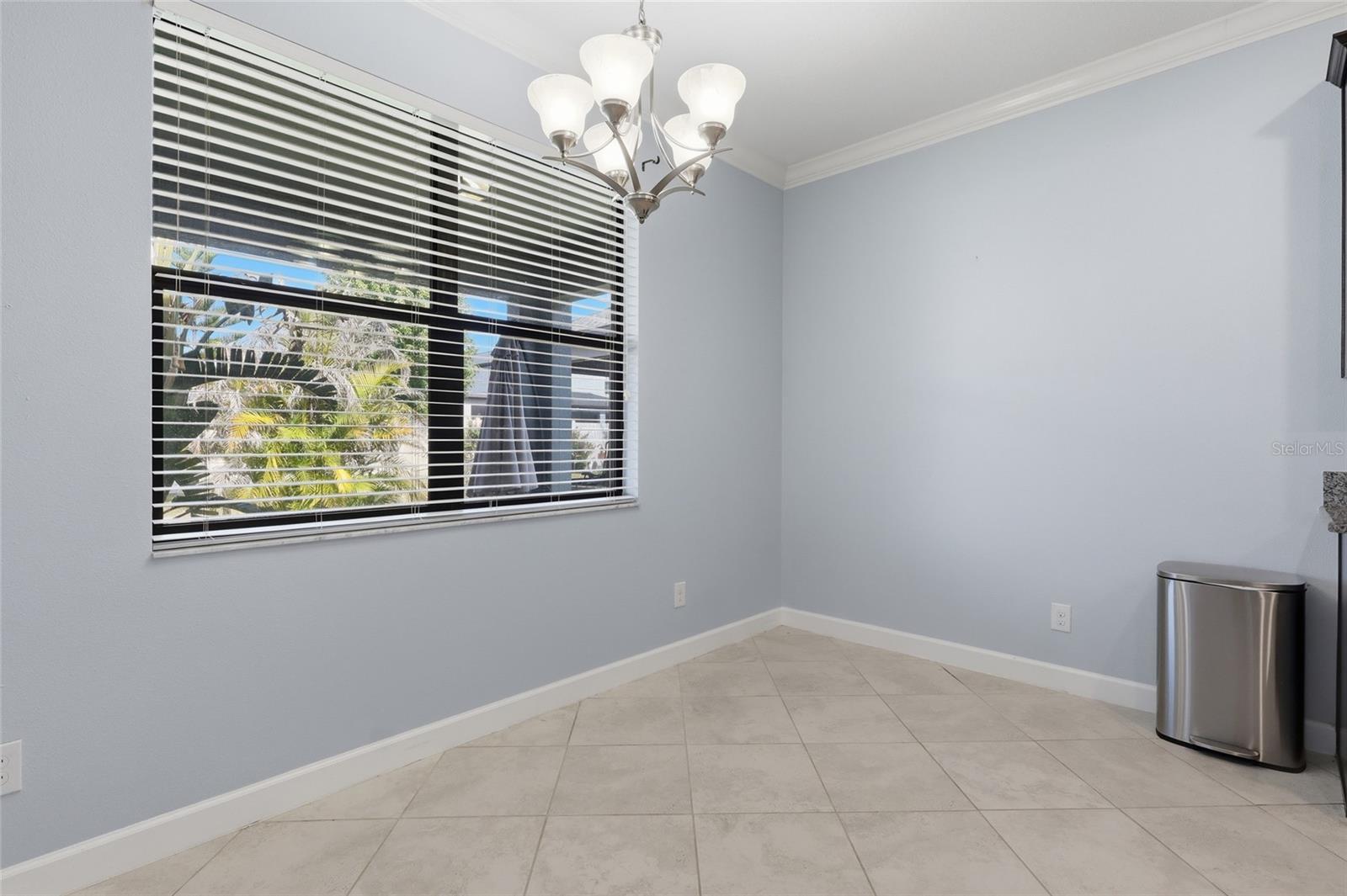 13917 ROSEATE TERN LN, RIVERVIEW, FL, 33579