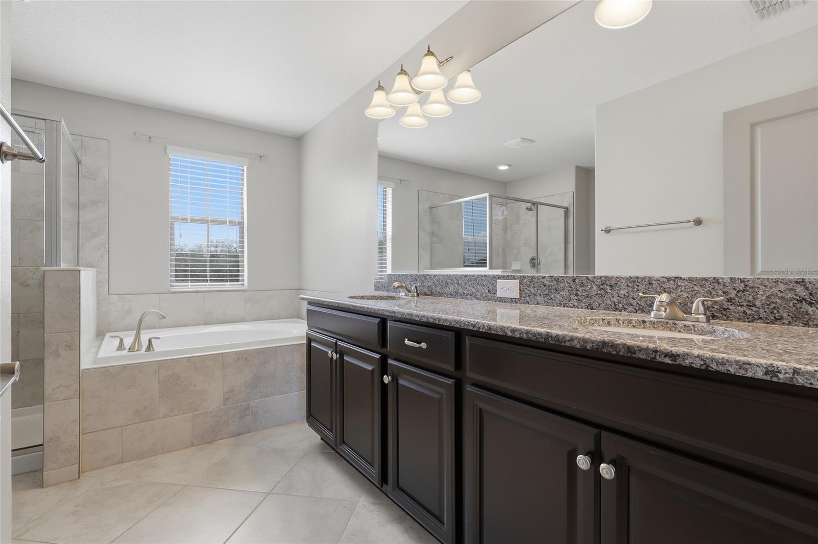 13917 ROSEATE TERN LN, RIVERVIEW, FL, 33579