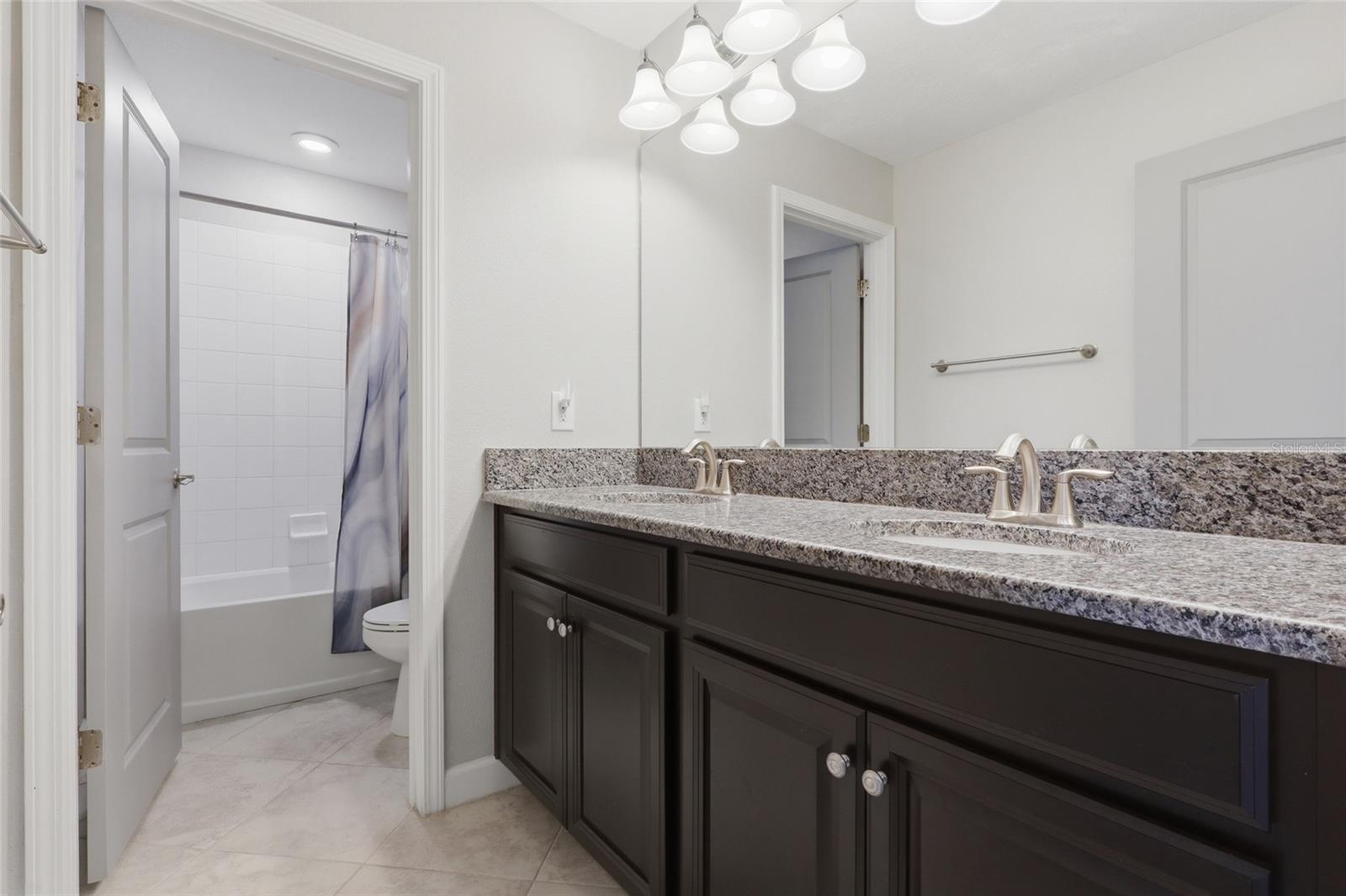 13917 ROSEATE TERN LN, RIVERVIEW, FL, 33579