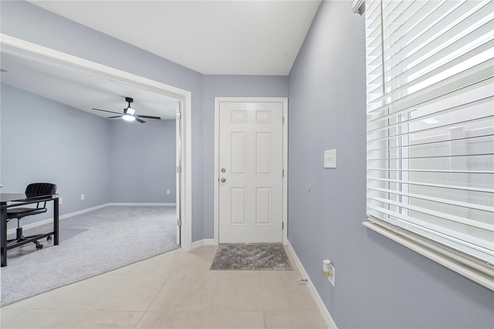 11621 FIRESPIKE ST, RIVERVIEW, FL, 33578