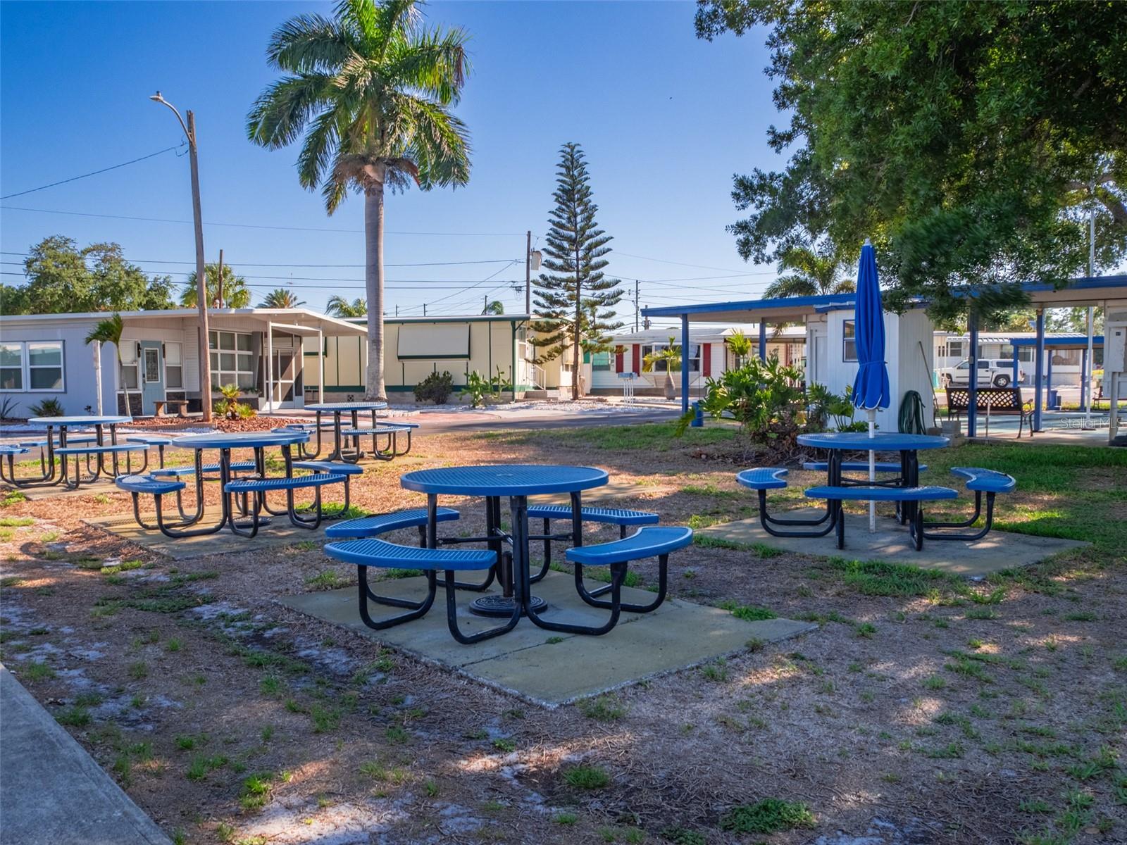 401 DENICE DR #401, SEMINOLE, FL, 33772