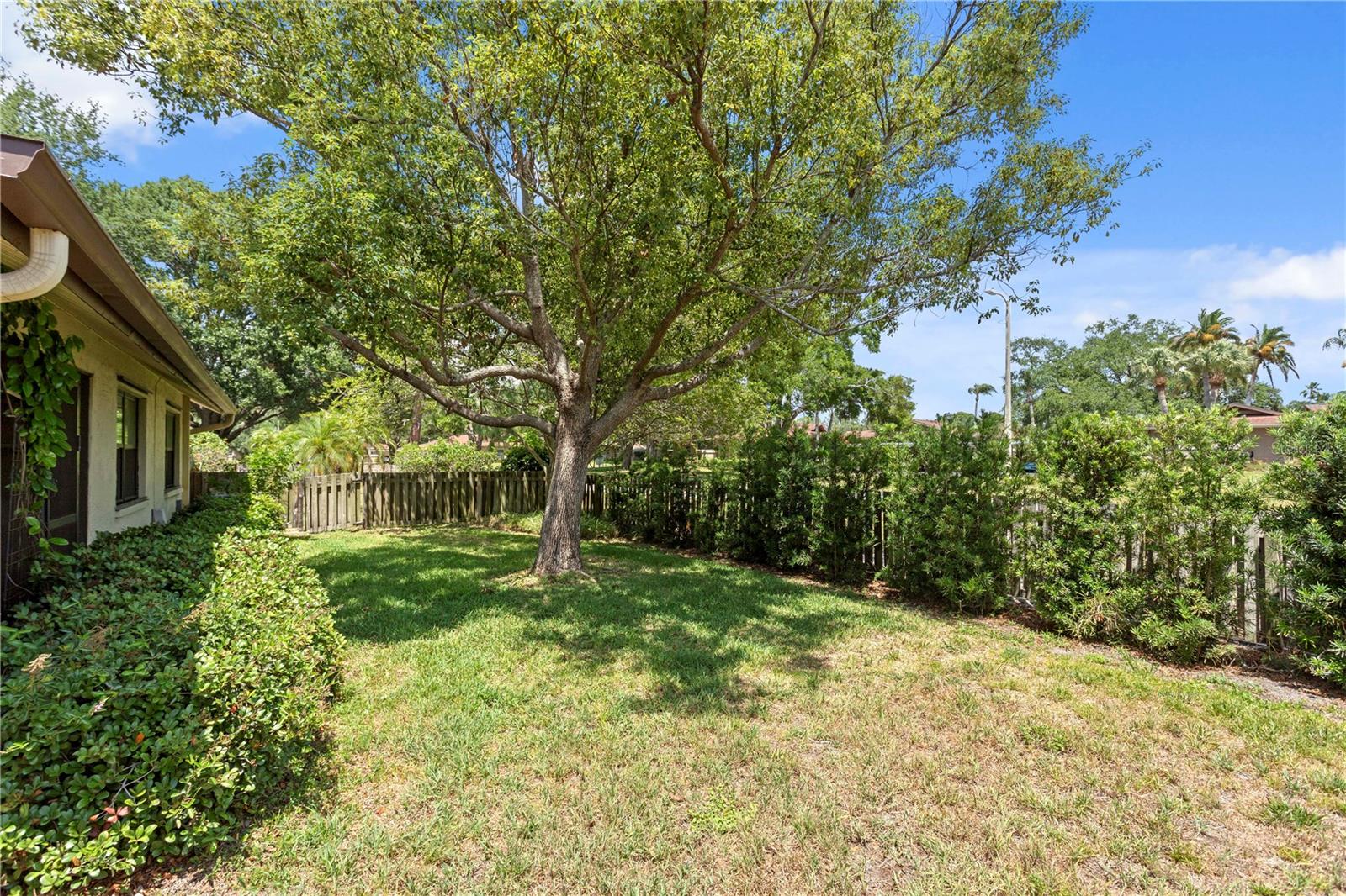 2449 BAY BERRY CT, CLEARWATER, FL, 33763