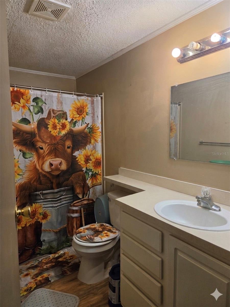 4738 SW 166TH COURT RD, OCALA, FL, 34481