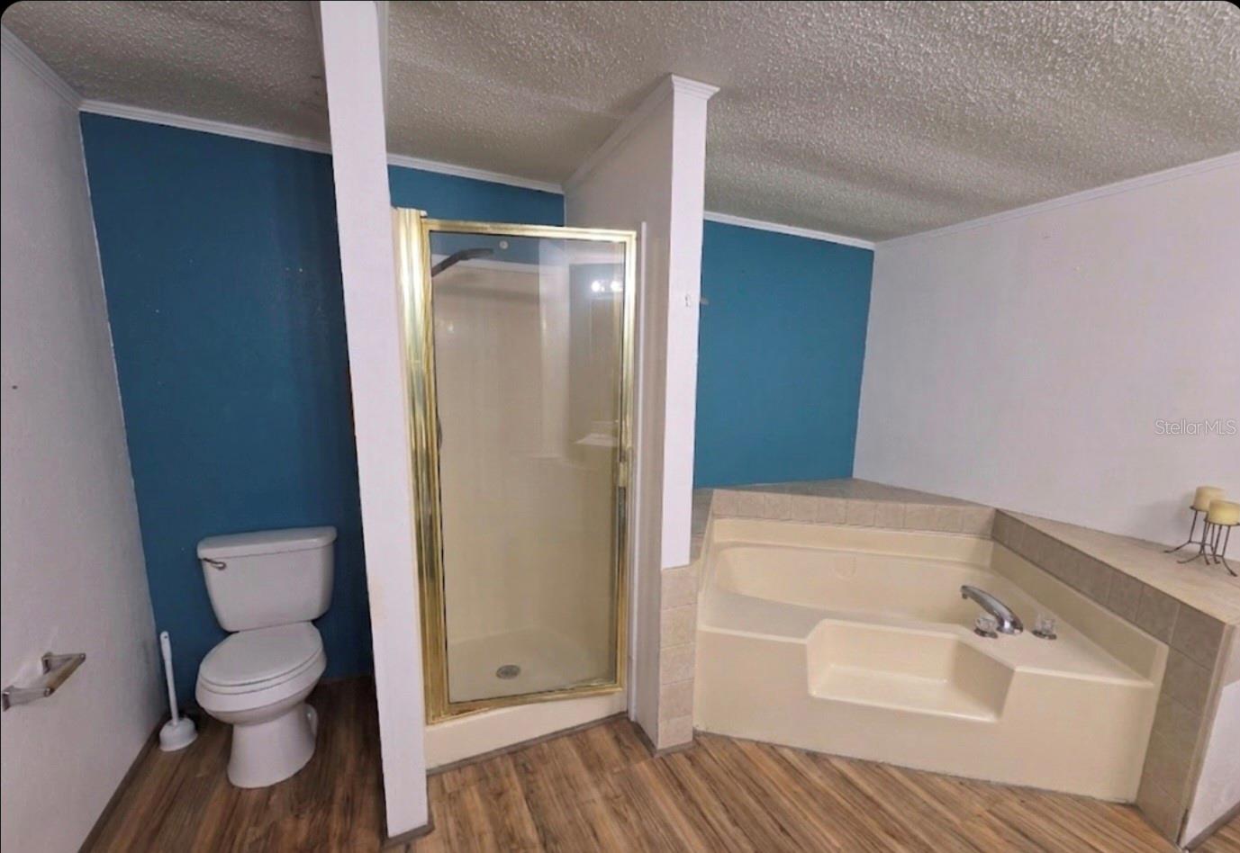 4738 SW 166TH COURT RD, OCALA, FL, 34481