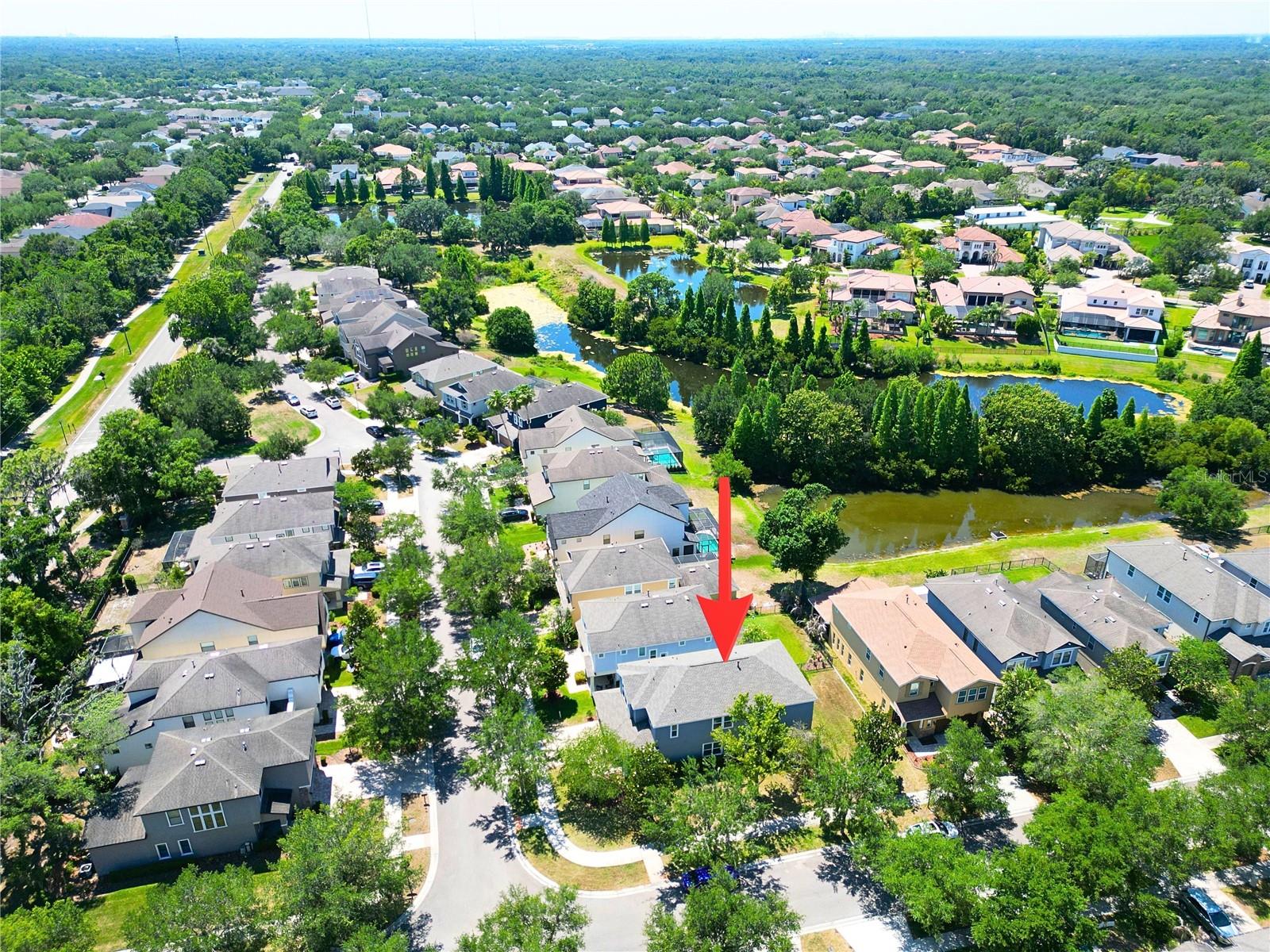16414 EGRET CROSSING LN, LITHIA, FL, 33547