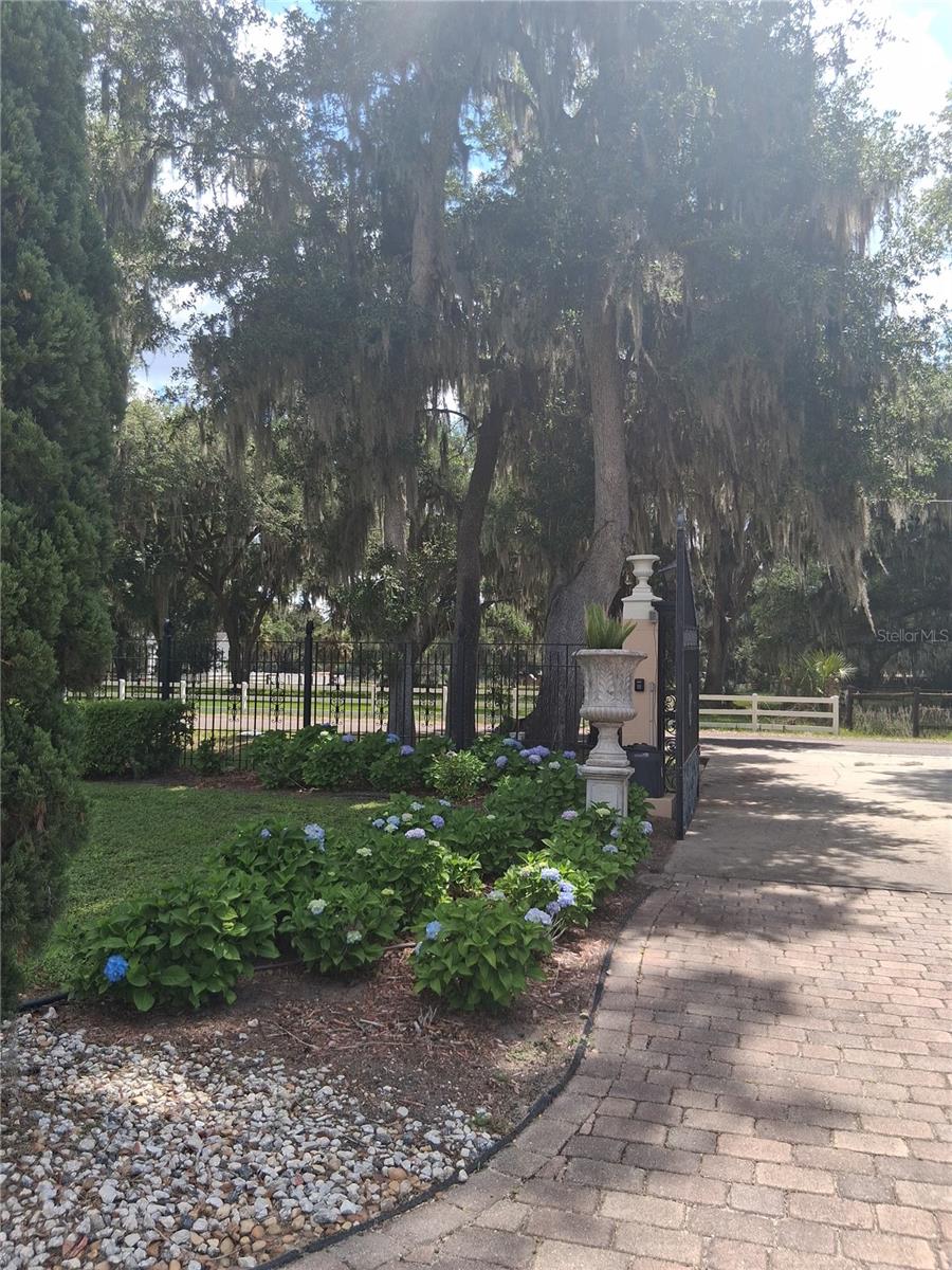 915 OLD WELCOME RD, LITHIA, FL, 33547
