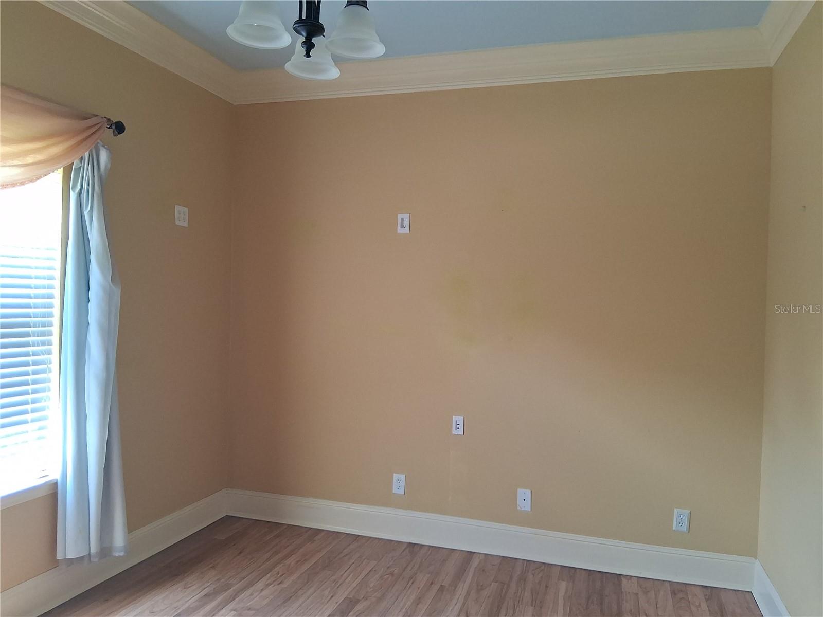 915 OLD WELCOME RD, LITHIA, FL, 33547
