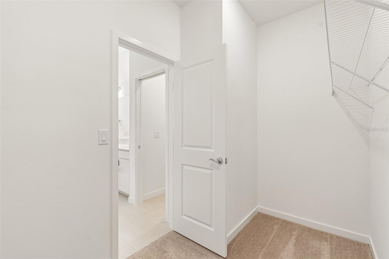 6669 ASBURY BARNES LN, WESLEY CHAPEL, FL, 33545