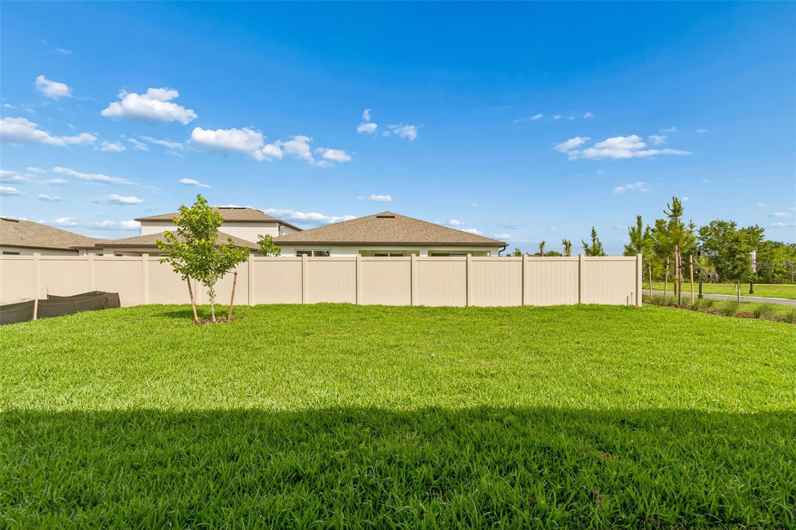 6669 ASBURY BARNES LN, WESLEY CHAPEL, FL, 33545