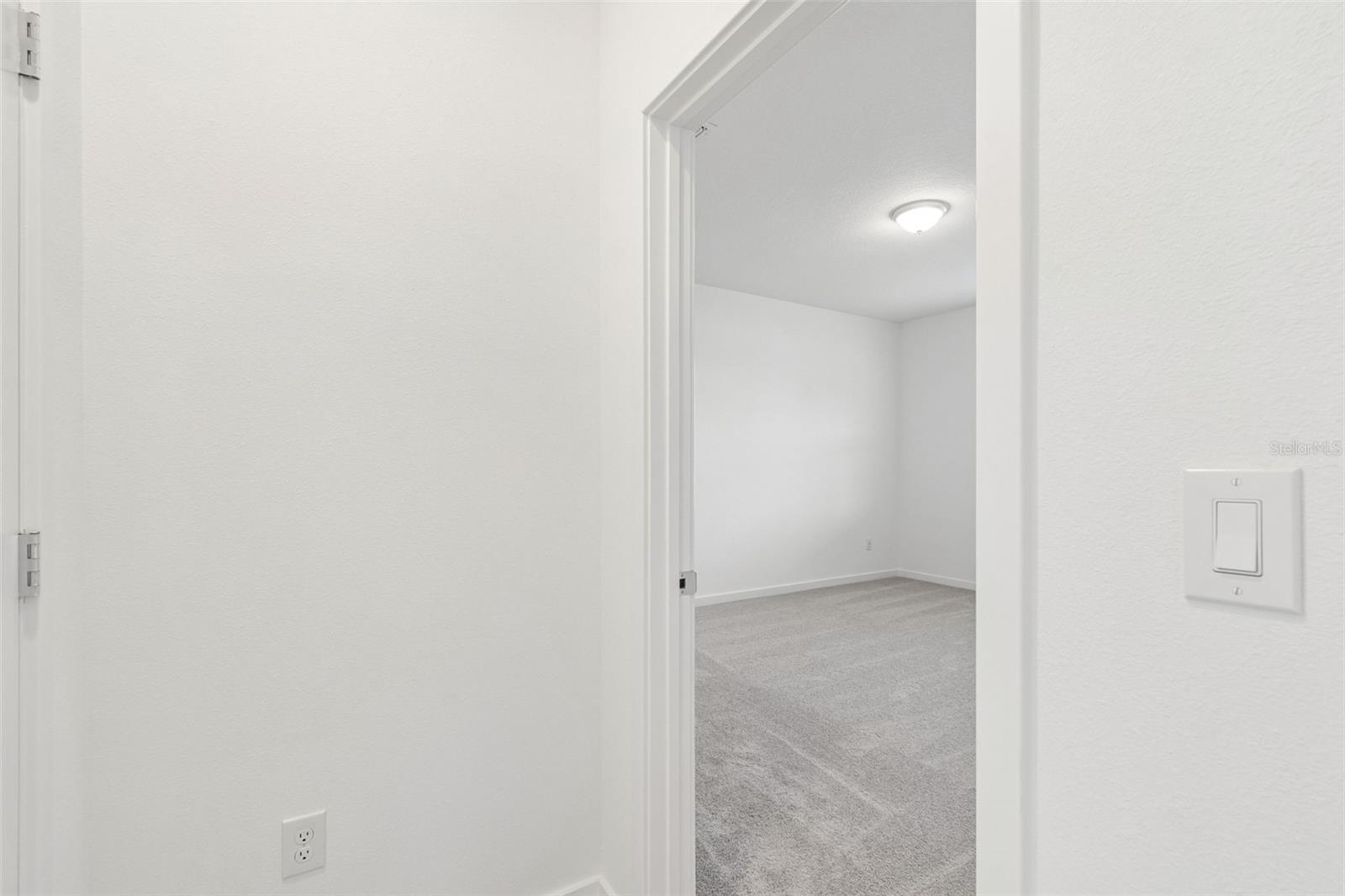 6669 ASBURY BARNES LN, WESLEY CHAPEL, FL, 33545