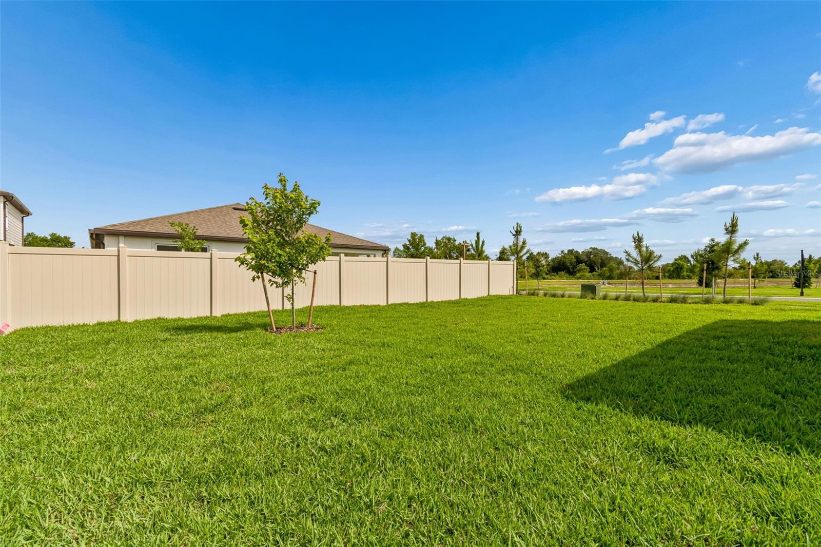 6669 ASBURY BARNES LN, WESLEY CHAPEL, FL, 33545