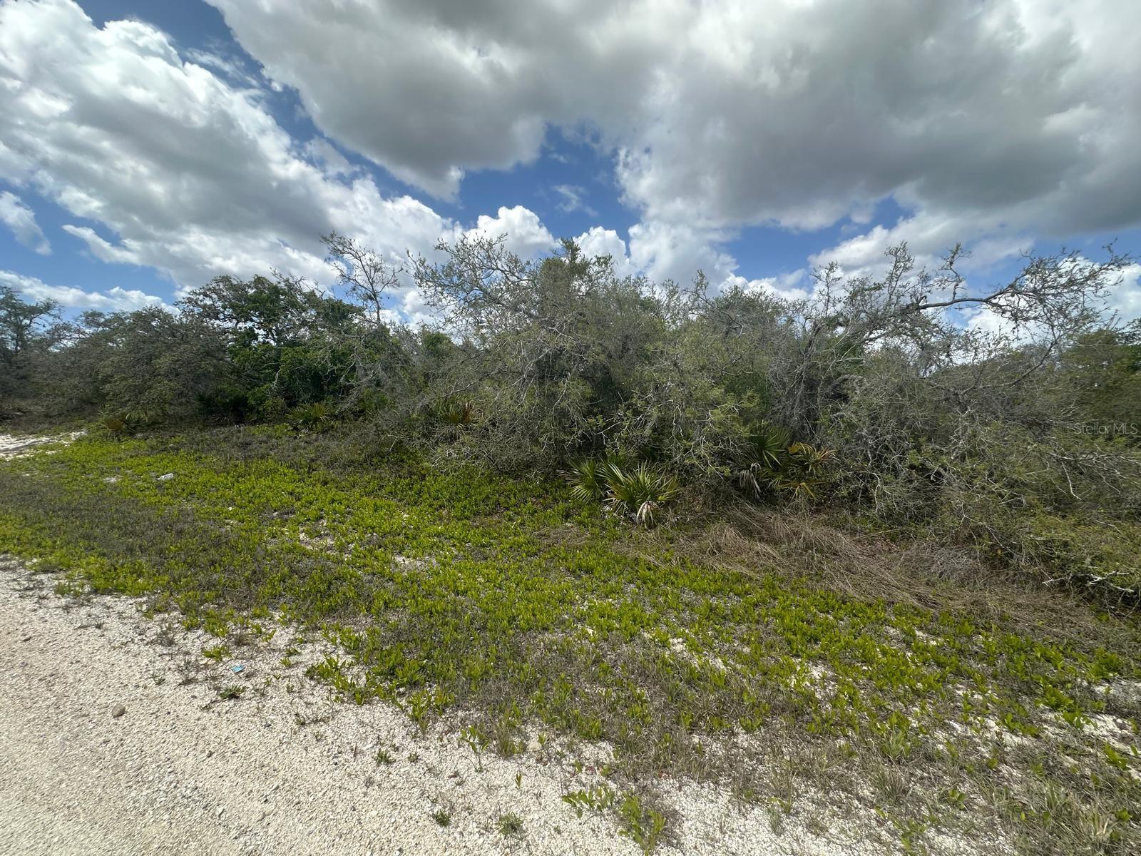 130 VAGABOND AVE, LAKE PLACID, FL, 33852