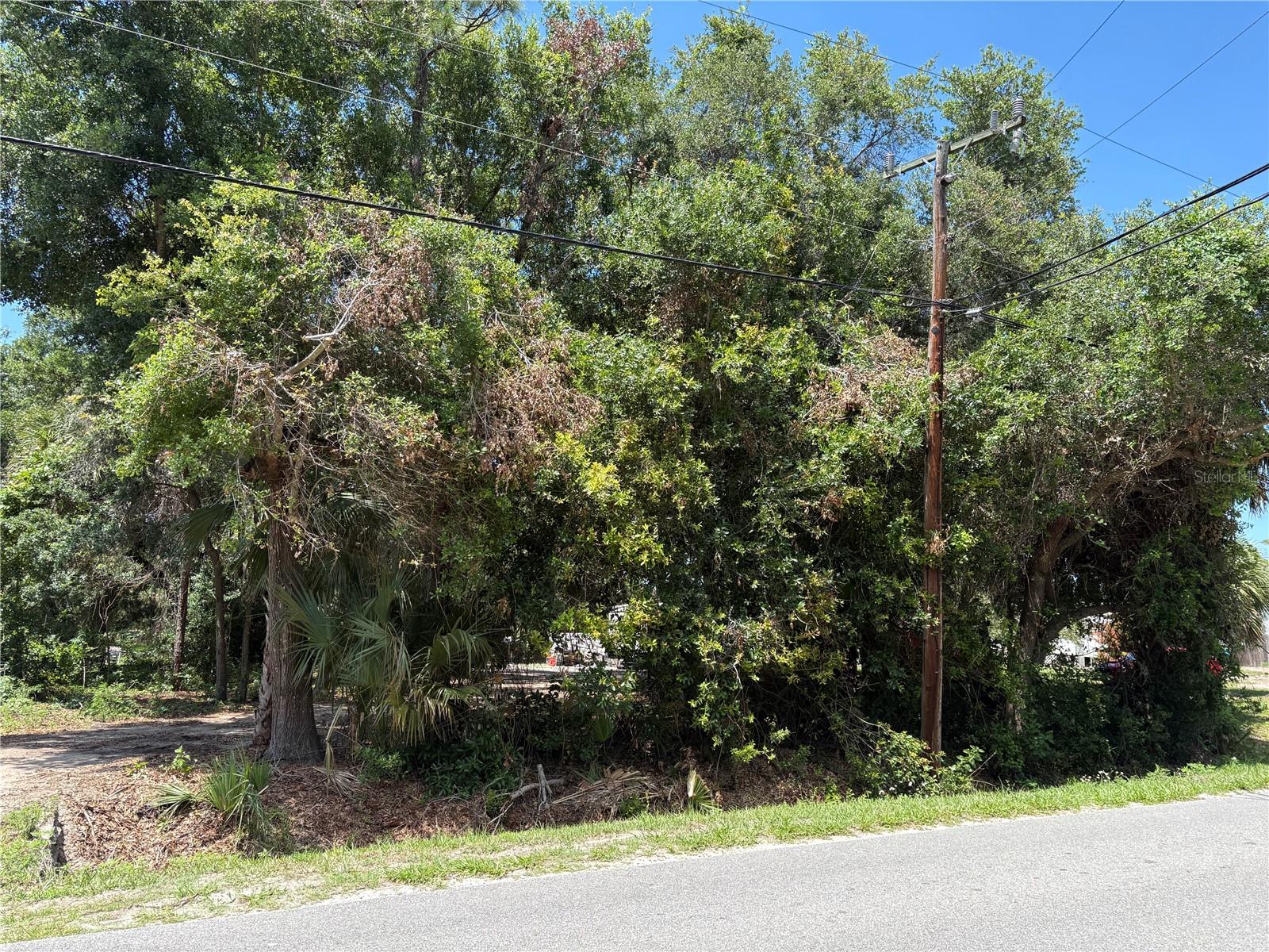 168 CANAL AVE, OAK HILL, FL, 32759