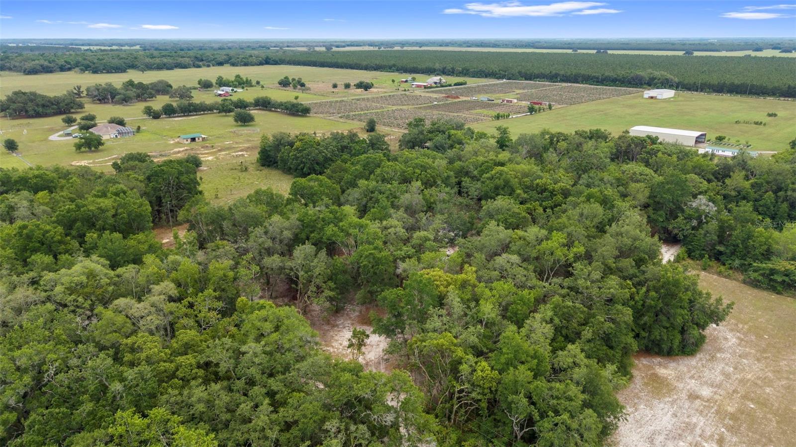 18330 BOOMING RD, SPRING HILL, FL, 34610
