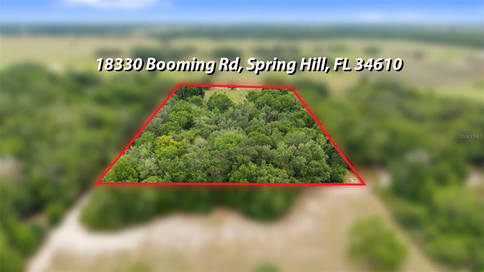 18330 BOOMING RD, SPRING HILL, FL, 34610