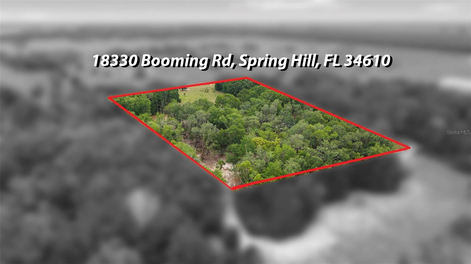 18330 BOOMING RD, SPRING HILL, FL, 34610