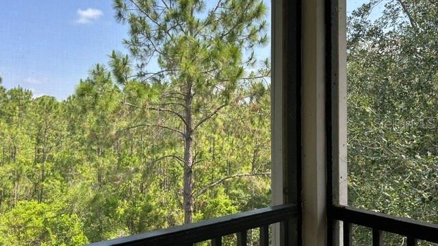 3060 PIRATES RETREAT CT #407, KISSIMMEE, FL, 34747