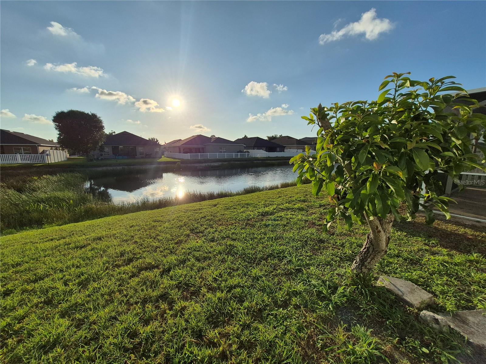 6833 RUNNER OAK DR, ZEPHYRHILLS, FL, 33545