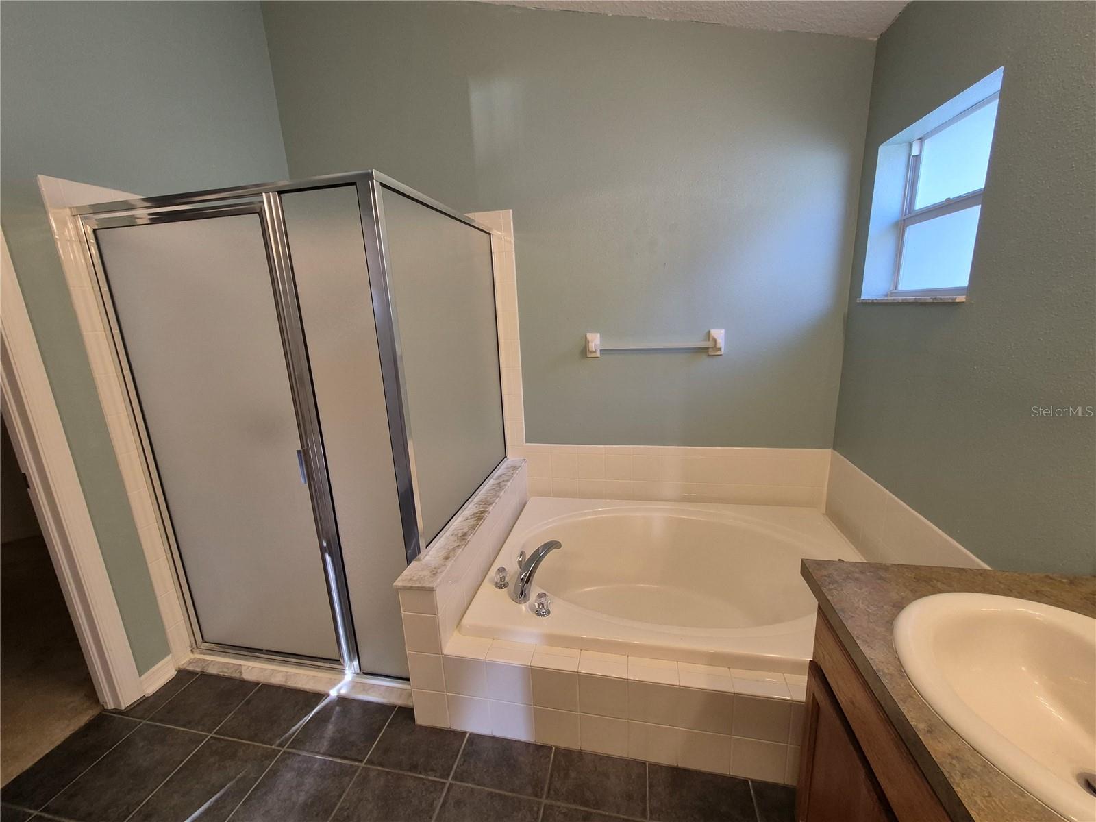 6833 RUNNER OAK DR, ZEPHYRHILLS, FL, 33545