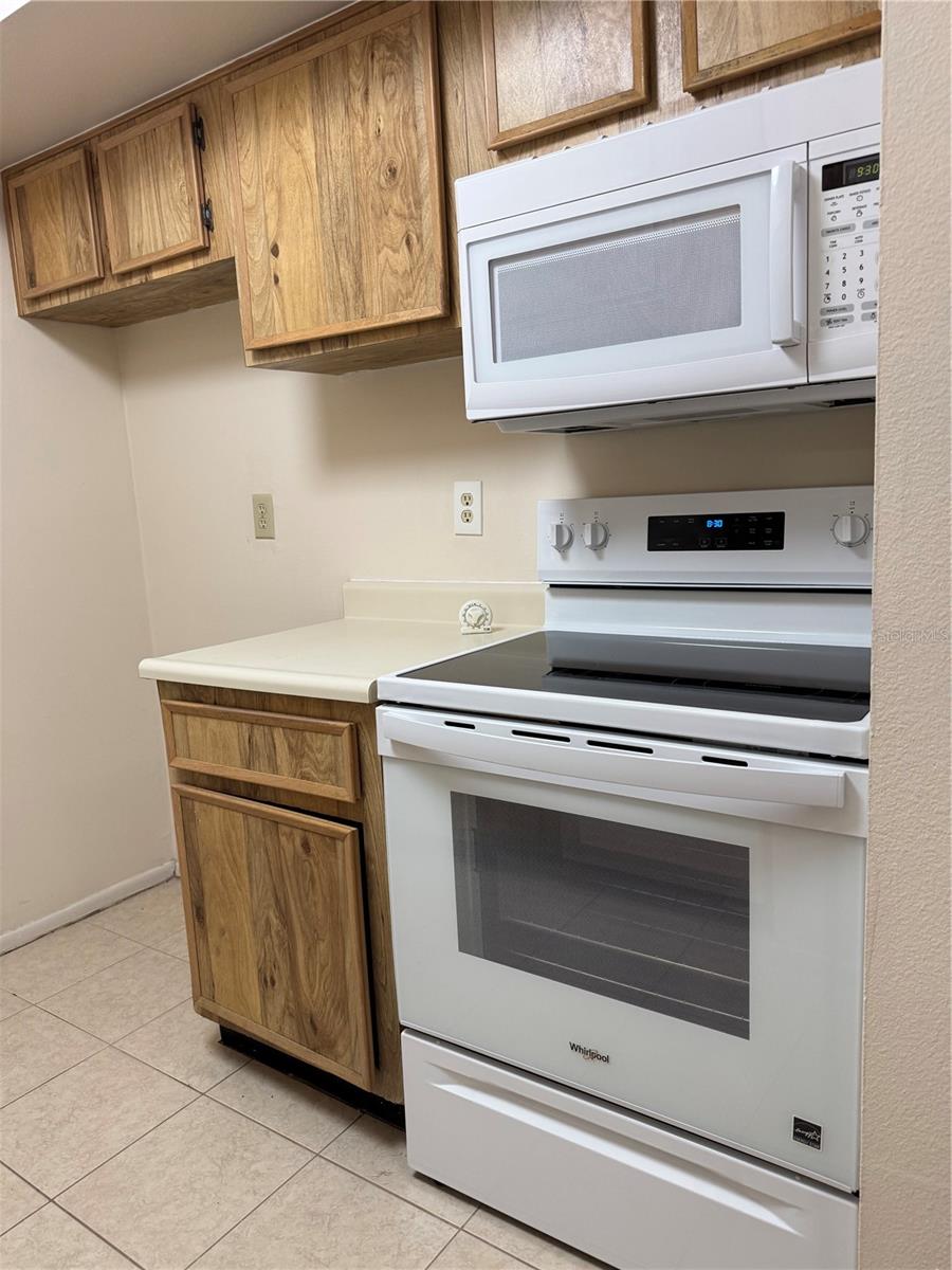 4033 DREAM OAK PL #101, TAMPA, FL, 33613