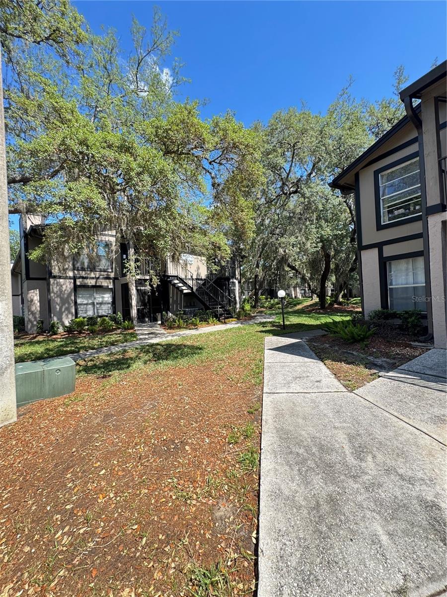 4033 DREAM OAK PL #101, TAMPA, FL, 33613