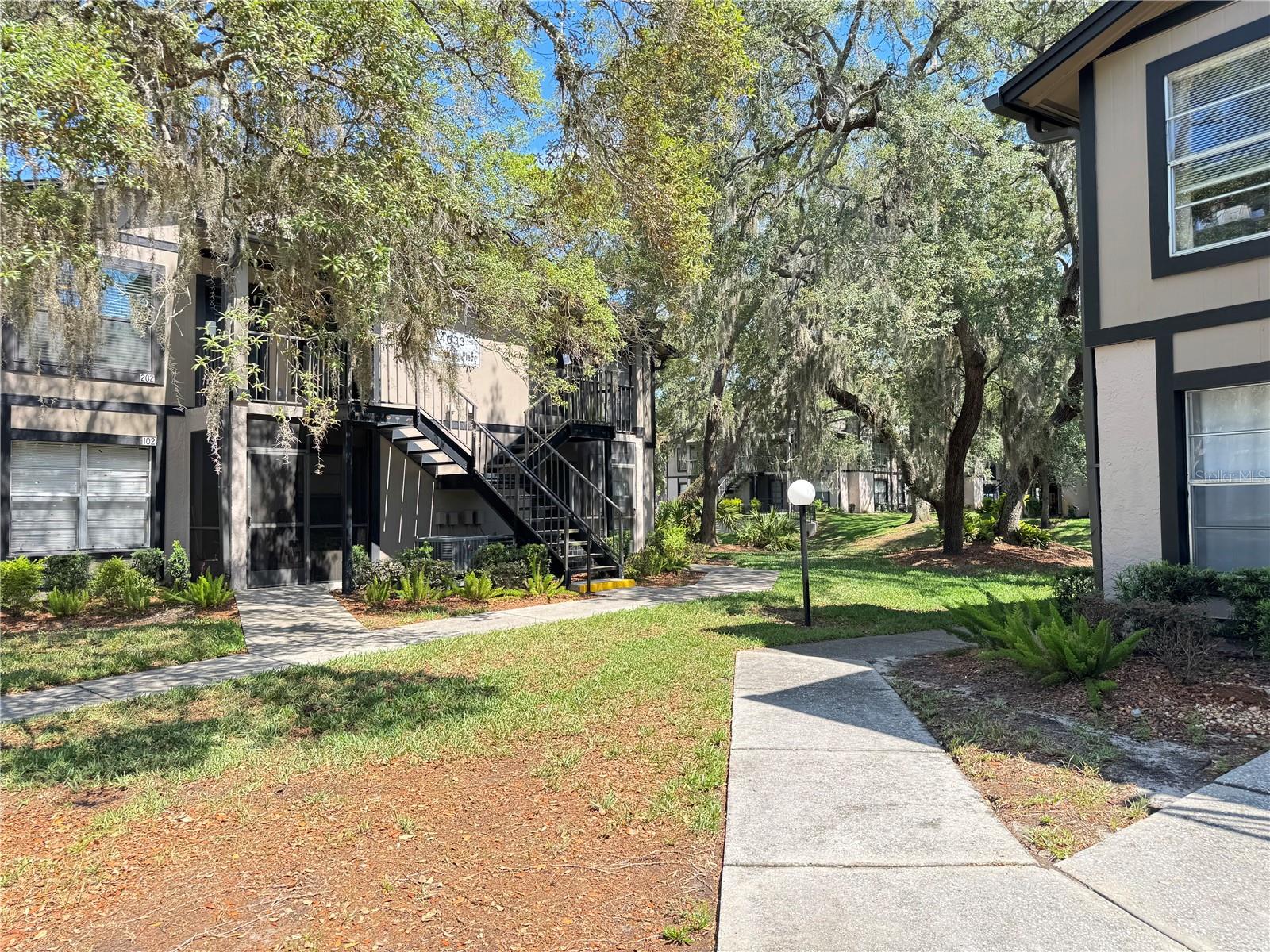 4033 DREAM OAK PL #101, TAMPA, FL, 33613