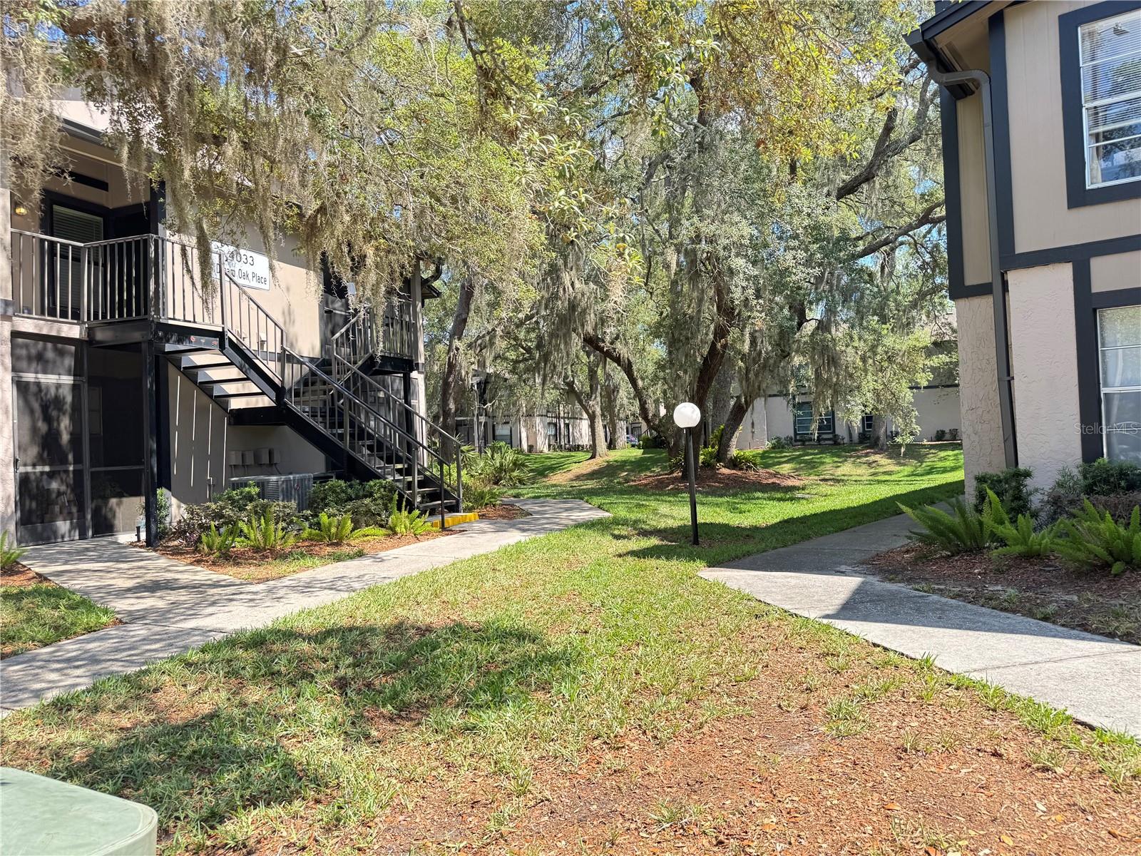 4033 DREAM OAK PL #101, TAMPA, FL, 33613