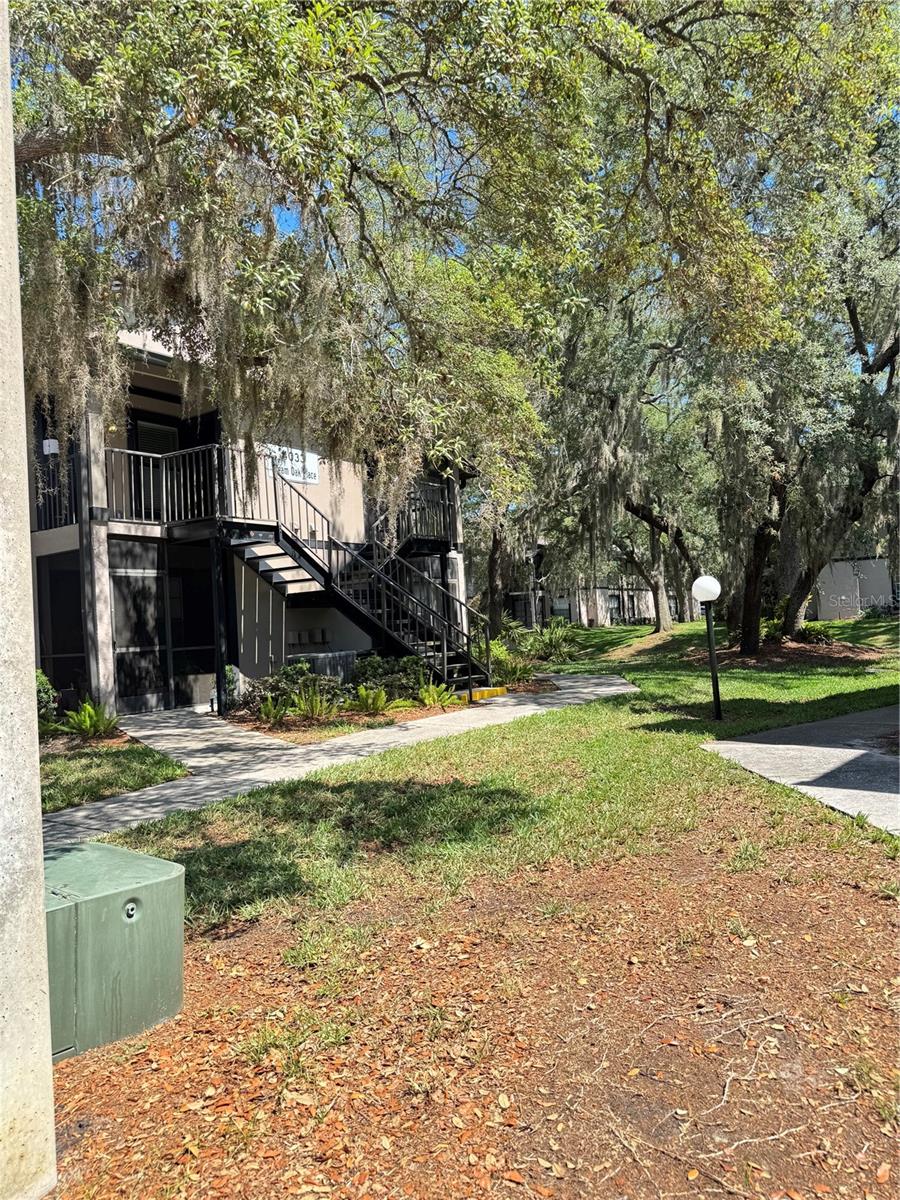 4033 DREAM OAK PL #101, TAMPA, FL, 33613