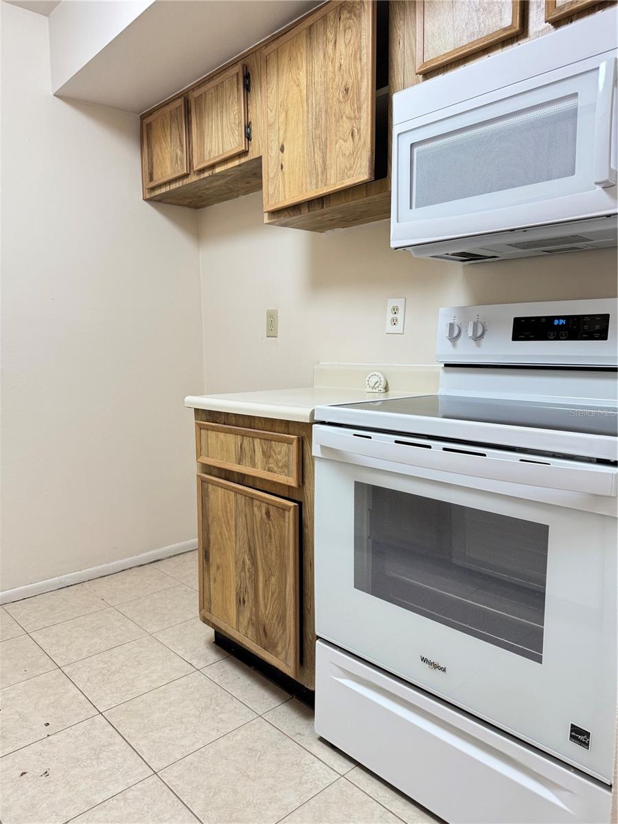 4033 DREAM OAK PL #101, TAMPA, FL, 33613