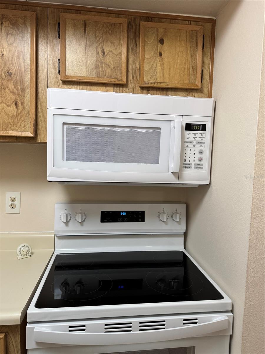 4033 DREAM OAK PL #101, TAMPA, FL, 33613