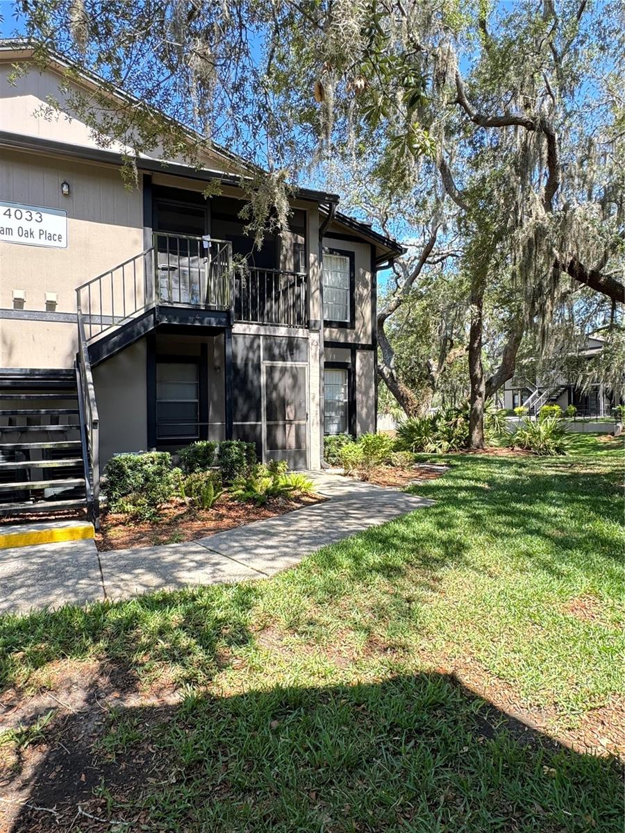 4033 DREAM OAK PL #101, TAMPA, FL, 33613